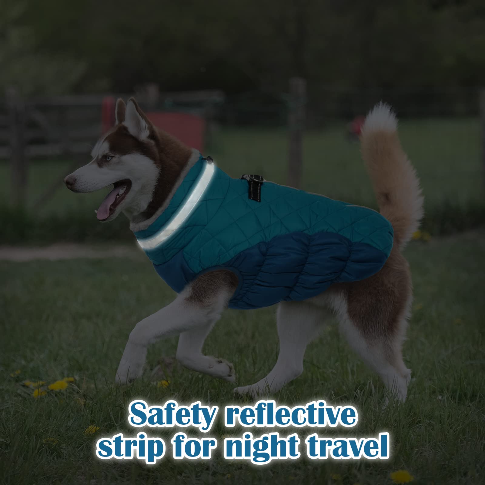 Giacca invernale per cani Accogliente cappotto riflettente impermeabile per cani, caldo indumento per animali domestici, abiti in pile per cani per la stagione fredda con chiusura a cerniera
