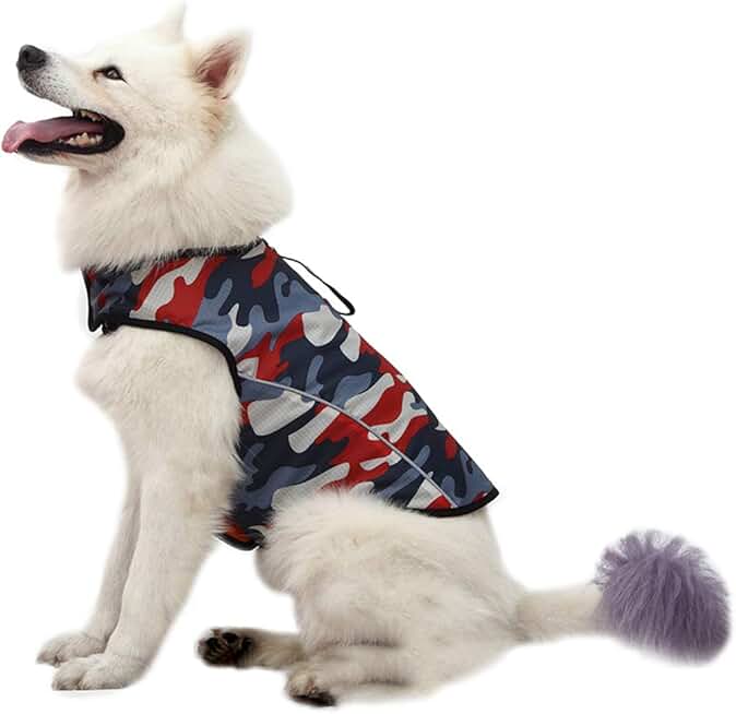 dog thunder jacket