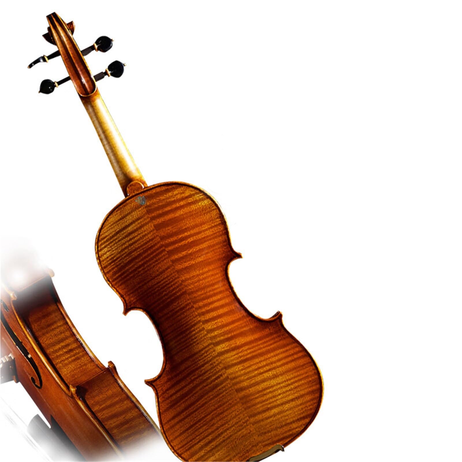 Un Violino Solista Da Concerto Per Adulti Violino