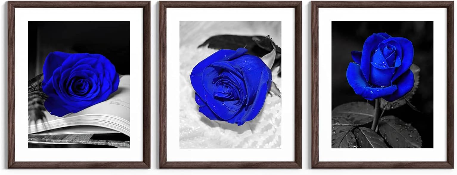 KUFENG ART 3 pc Floral Picture Painting Prints - Royal Blue and Gray Flower Wall Art White and Black Wall Decor - Blue Rose Canvas Wall Art, Blue Rose-Unframed Style, 18Inx 24In - (45x60cm)