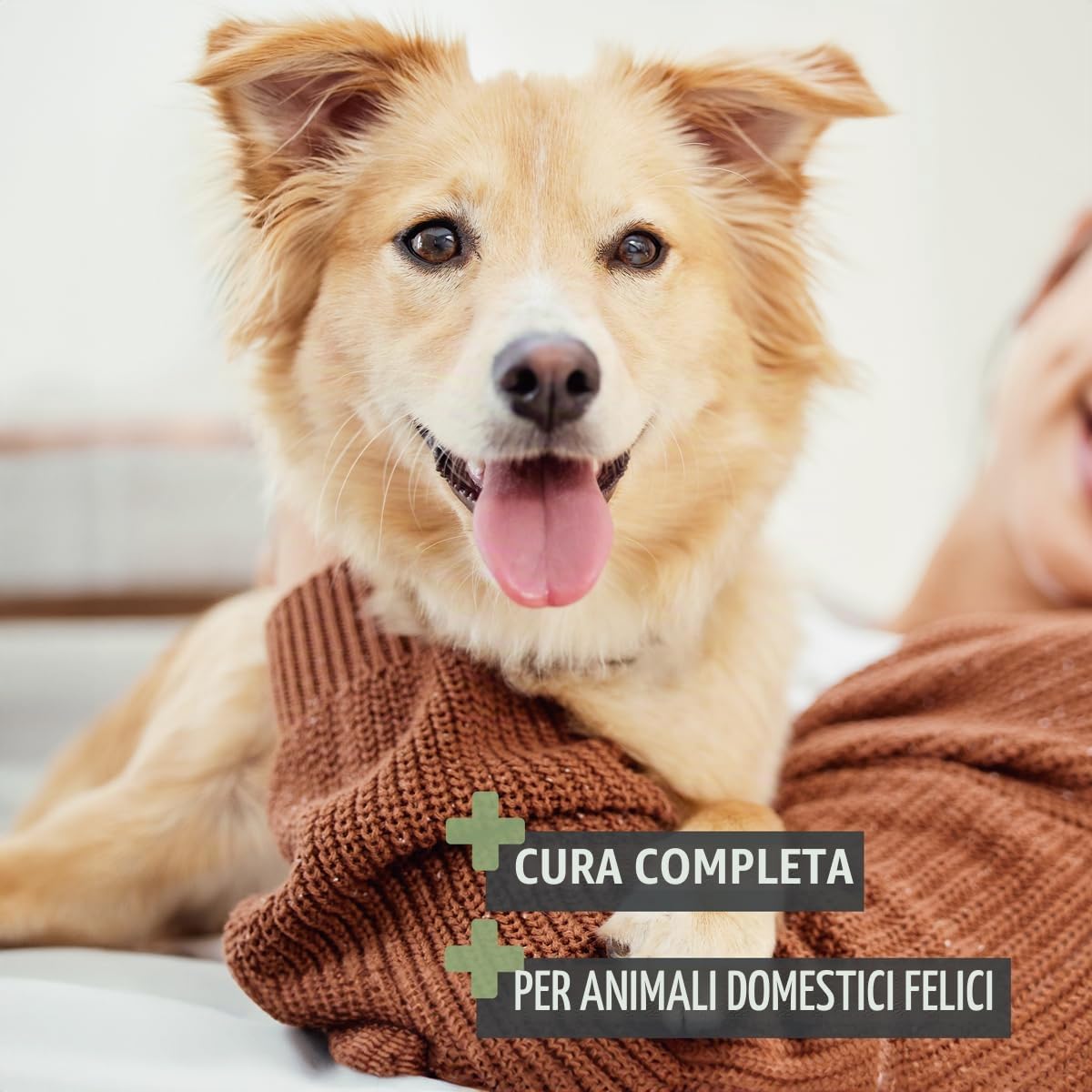 ReaVET Set di 6 spazzole professionali per cani e gatti, spazzola per cani e gatti, spazzola per cani e gatti, spazzola per infeltrimento, spazzola per sottopelo, pettine per pulci, forbici per
