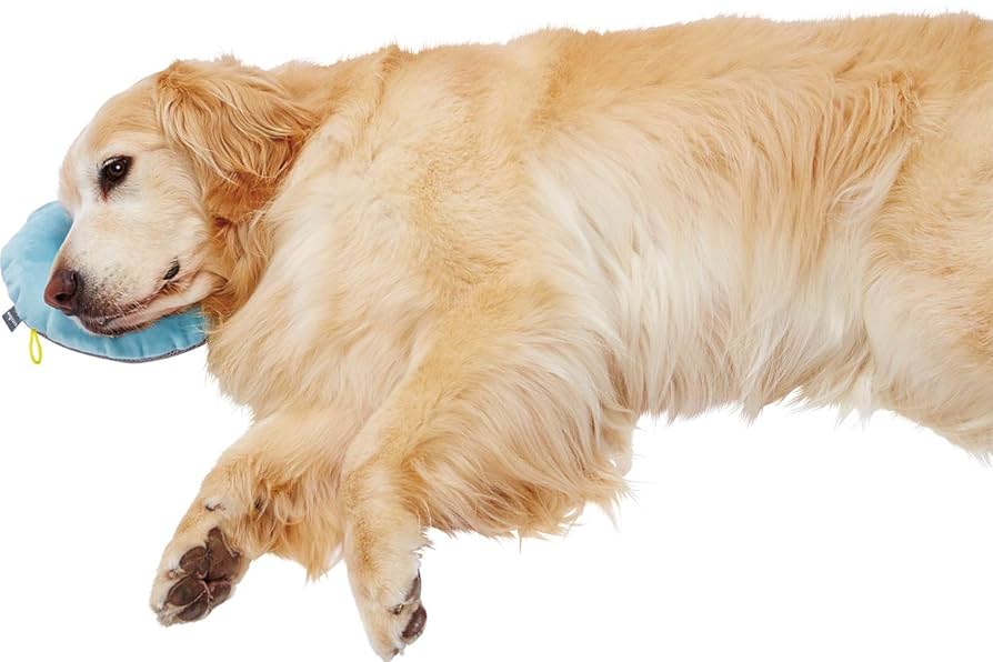 ペティオ ビーズベッド ビーズクッション 中サイズ Amazon | ペティオ (Petio) Zuttone 厚みが調節できるやさしい