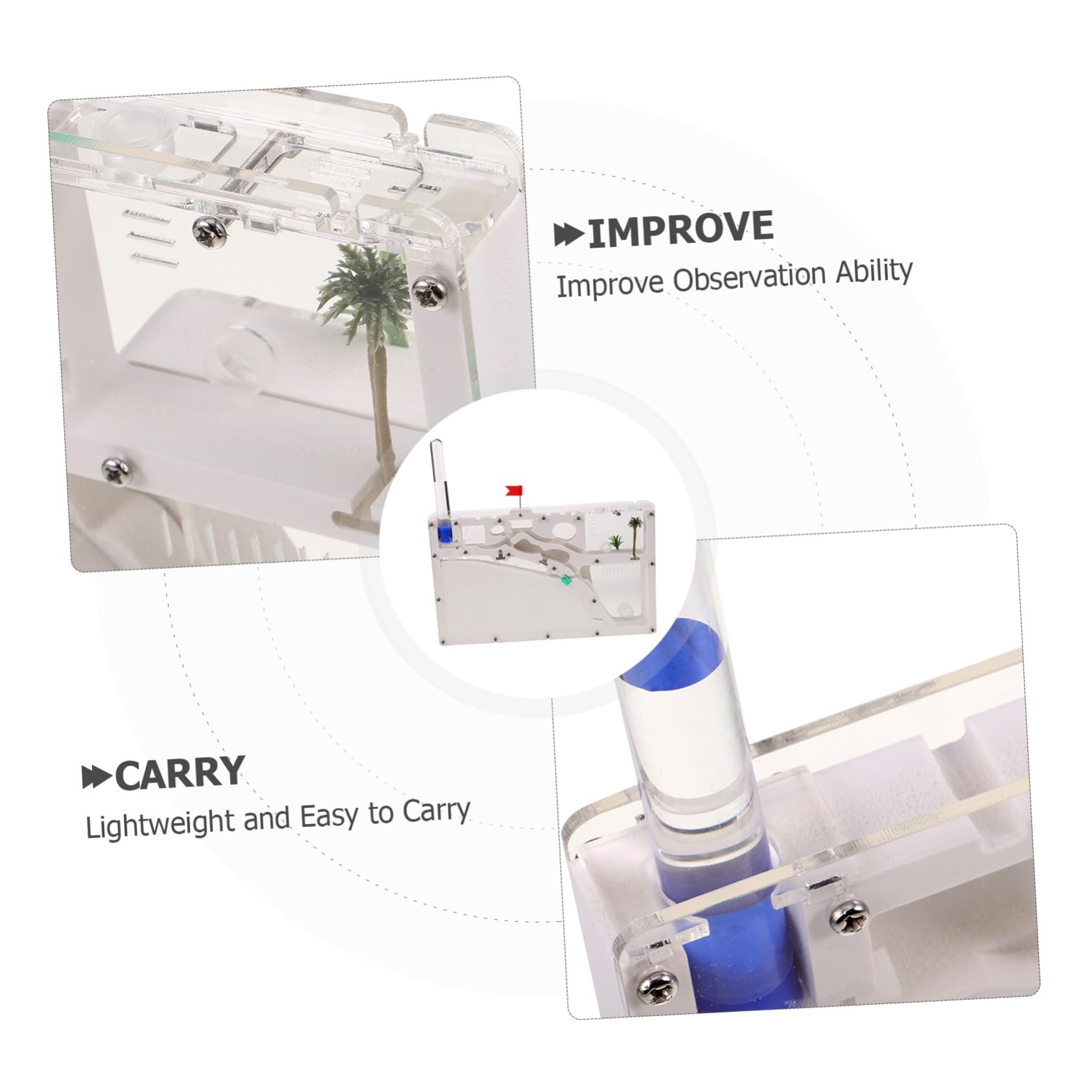 BESPORTBLE Juguetes Ecoeducativos para Exploración al Aire Kit de Terrario y Hormiguero Recinto para Insectos Caja de Observación para Educación y Aprendizaje Interiores
