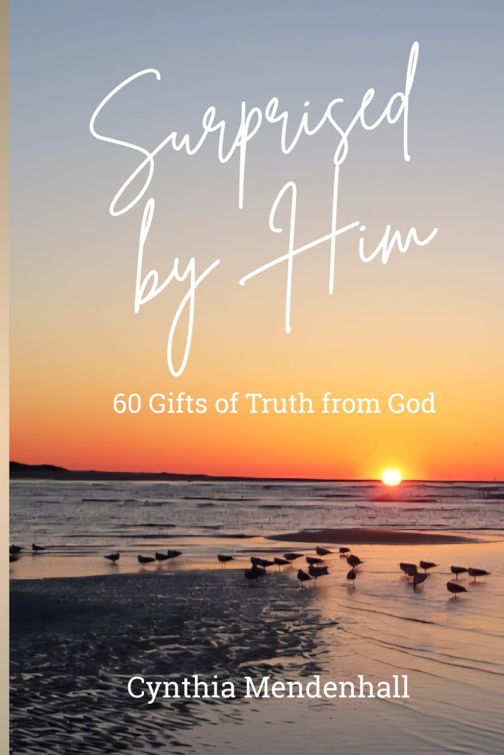 SURPRISED BY HIM: 60 Gifts of Truth from God