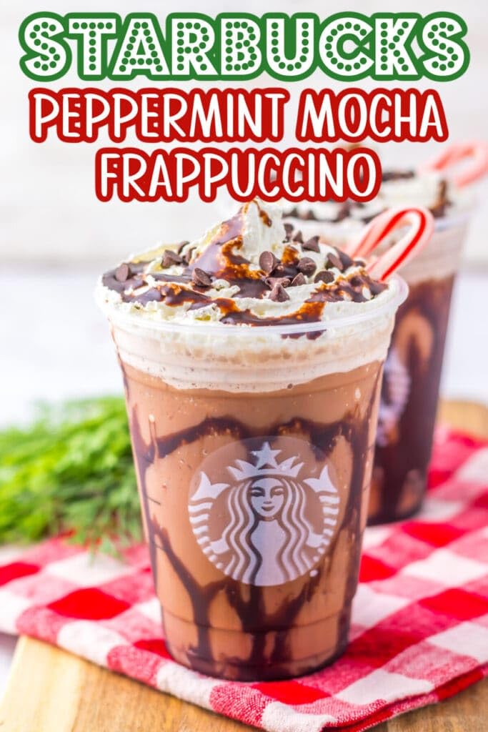 Peppermint Syrup - 1 Liter Bottle Bundle - Authentic Peppermint Syrup Premium Taste - Perfect for Starbucks Coffee, Lattes, Mochas, and Desserts - Combo Bottle With Pump