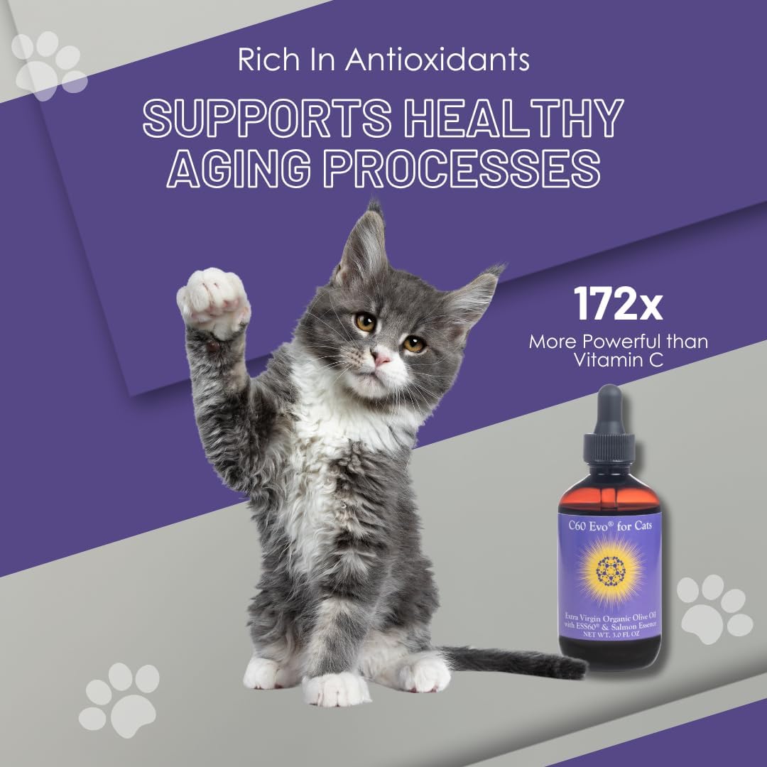 ESS60 Olive Oil for Cats - Organic Extra Virgin Olive Oil, Pure C60 ESS60 (.8 mg/mL) & Natural Salmon Essence to Support Your Cats’ Flexibility, Energy, Immunity, Longevity - 3 oz