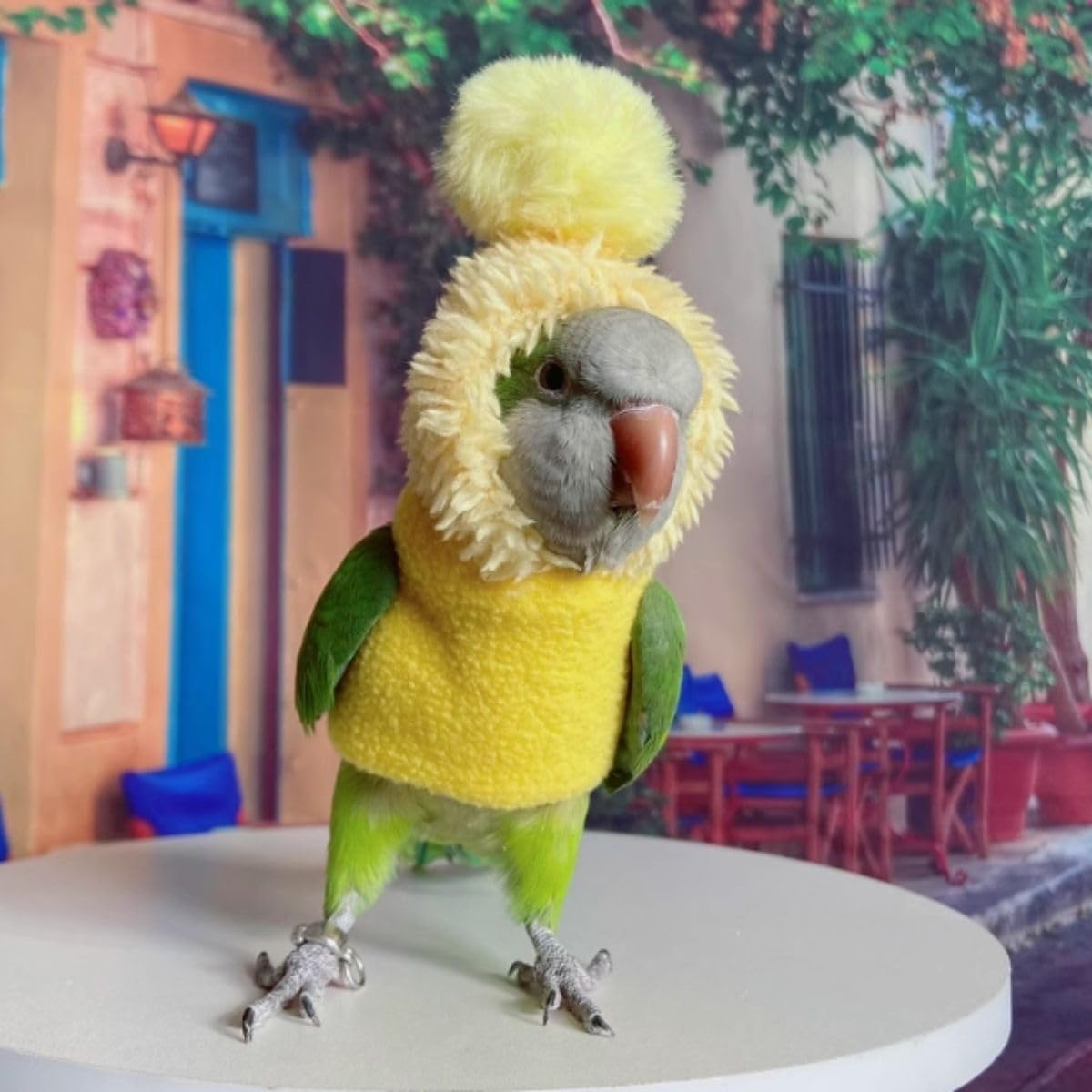 Cute Bird Costume, Parrot Cosplay Photo Prop, Bird Cloth for Party Holiday, Halloween Christmas Bird Costume Funny Parrot Coat Apparel for Parakeets Cockatiel Conure African Grey (Without Diaper,XL)