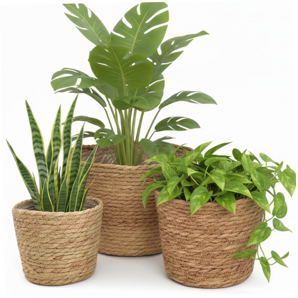 Latemeia 3-Piece Wicker Plant Pot, Handwoven Seagrass Plant Basket with Plastic Liner for Indoor Plants, Decorative Storage & Planter Cover for Home, Kitchen, Patio, Ornaments extérieurs