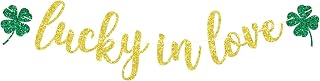 Lucky in Love Banner for St Patrick's Day Party Decorations, Bridal Shower Banner, Baby Shower/Wedding/Anniversary Party Decorations Gold Glitter
