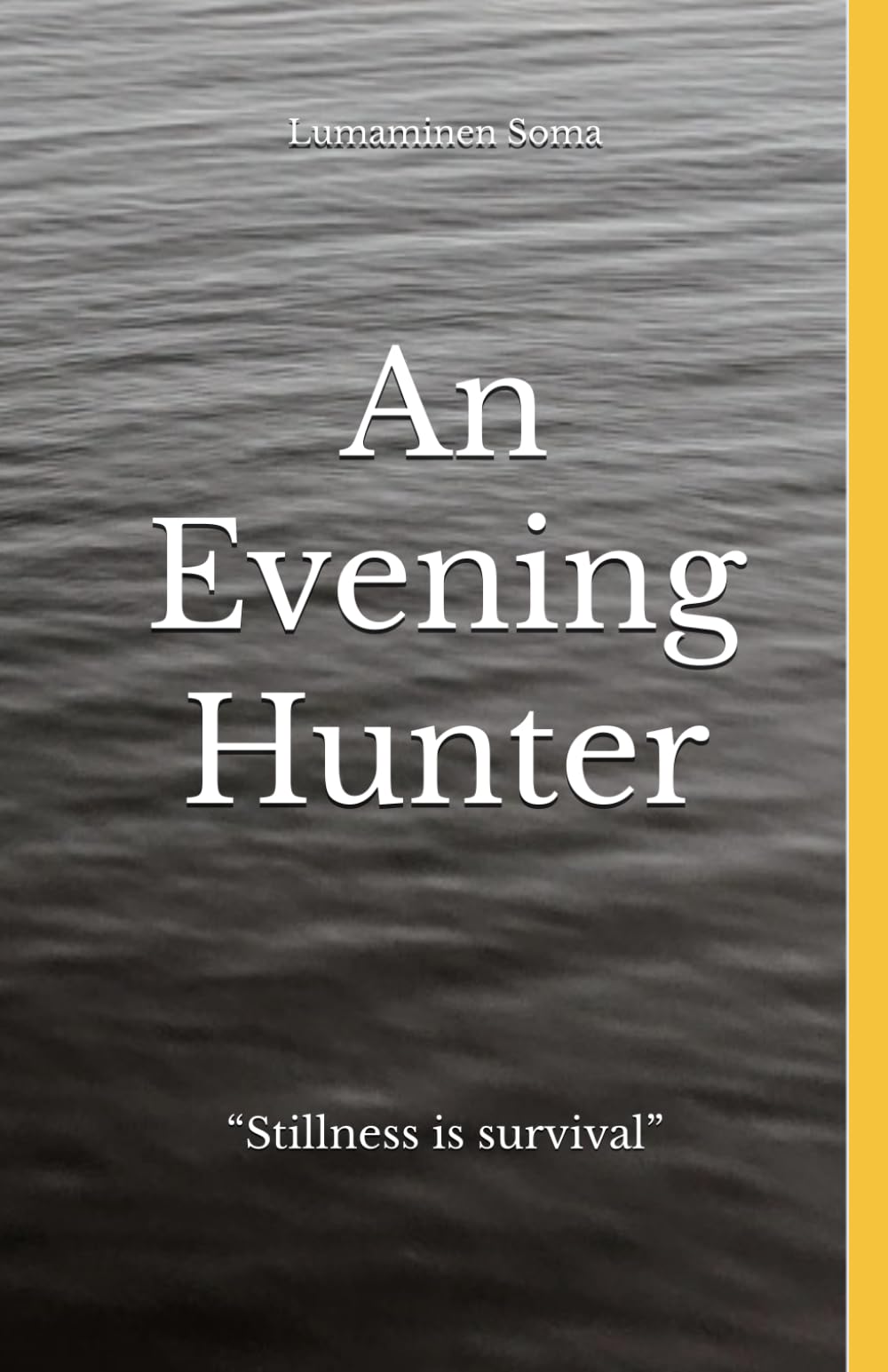 An Evening Hunter: A thriller dystopian following a young teenage girl named Adelaid who must overcome the dangers of the world around her