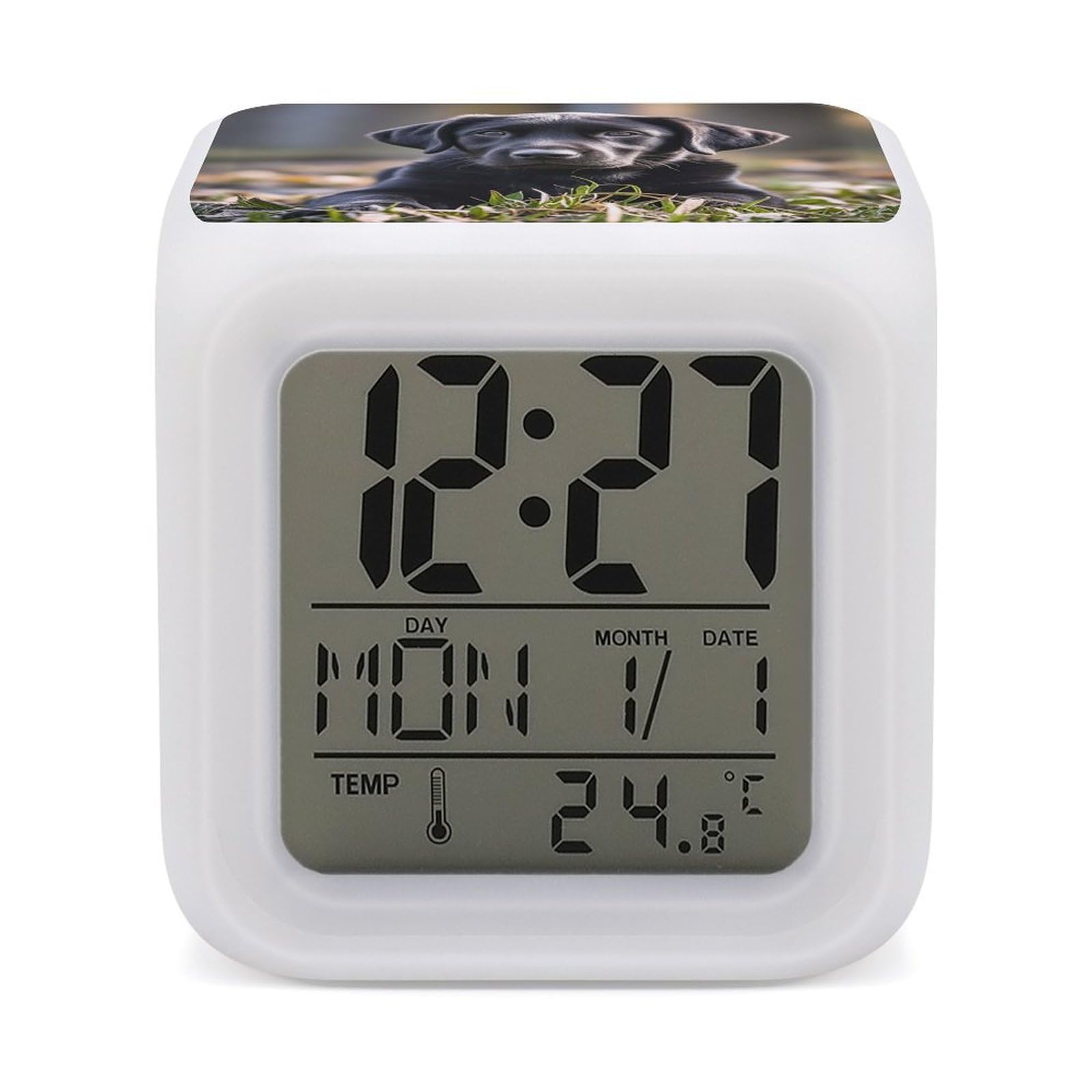 JTREHY 7 Color Changing LED Digital Alarm Clock,Black Labrador Puppy Printed Wake-up Clock with Temperature Display Home Decoration Alarm Clock for Bedroom Office