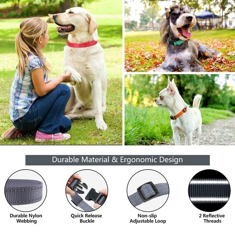 Collari Pecore [ ANIMALI Giugno - Foto 8