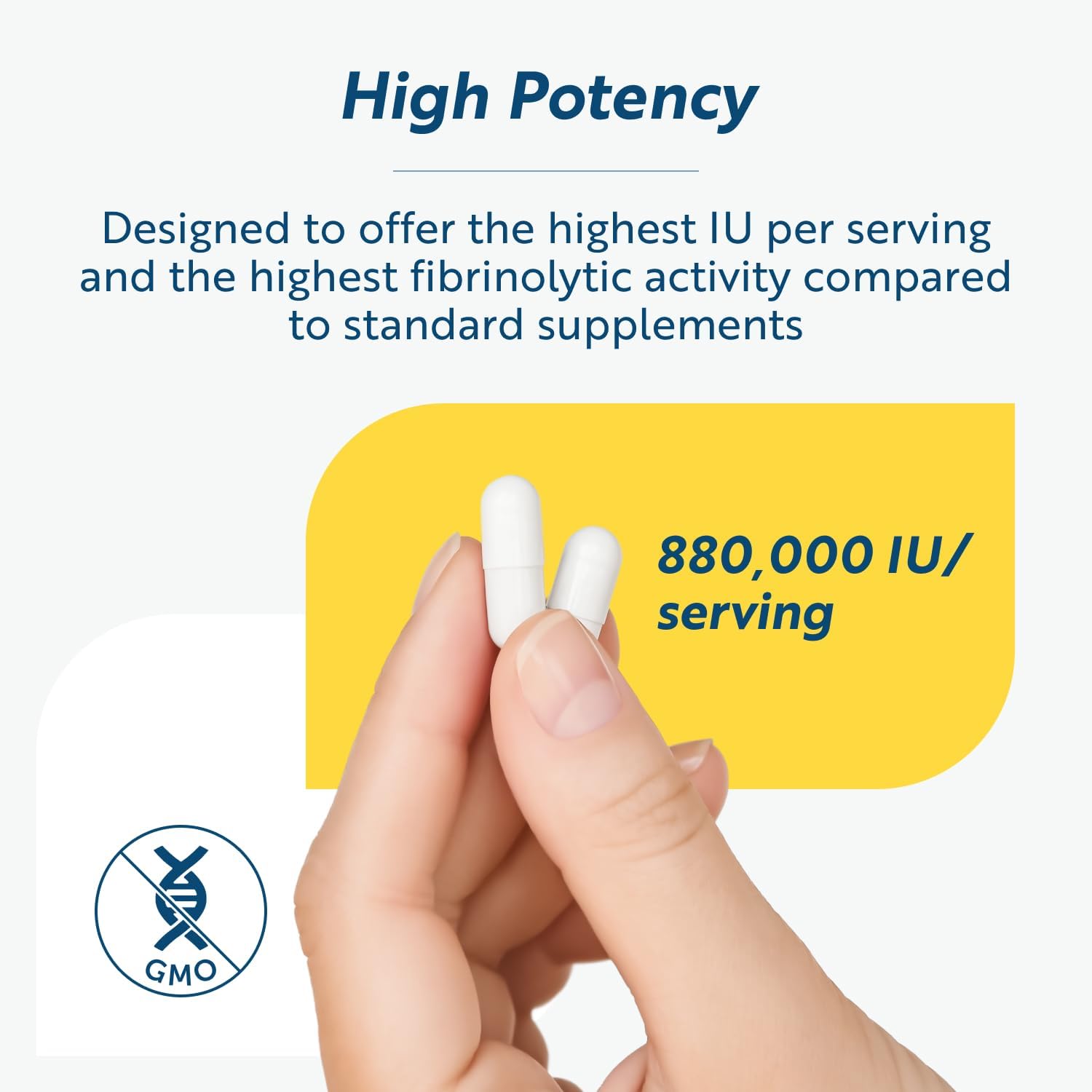 Researched Nutritionals Lumbrokinase Supplement - Enzyme Nutritional Supplements for Circulatory Support & Fibrin Balance - High-Potency 880,000 IU with Delayed Release (60 Capsules)
