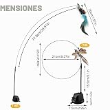 Ver la foto 5