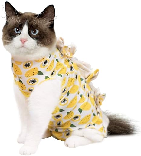 cat spay cone alternative