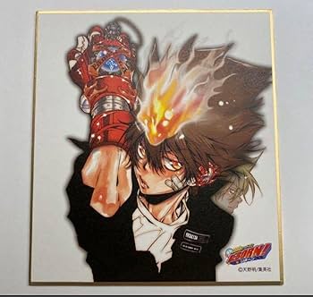 Amazon.co.jp: 家庭教師ヒットマンREBORN 沢田綱吉 色紙 天野明