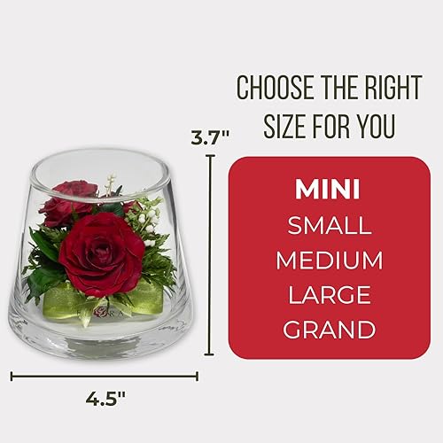 Miniatura 3 de Fiora Flower  Rosas reales de larga duración en un jarrón sellado, dura hasta 5 años, regalo único
