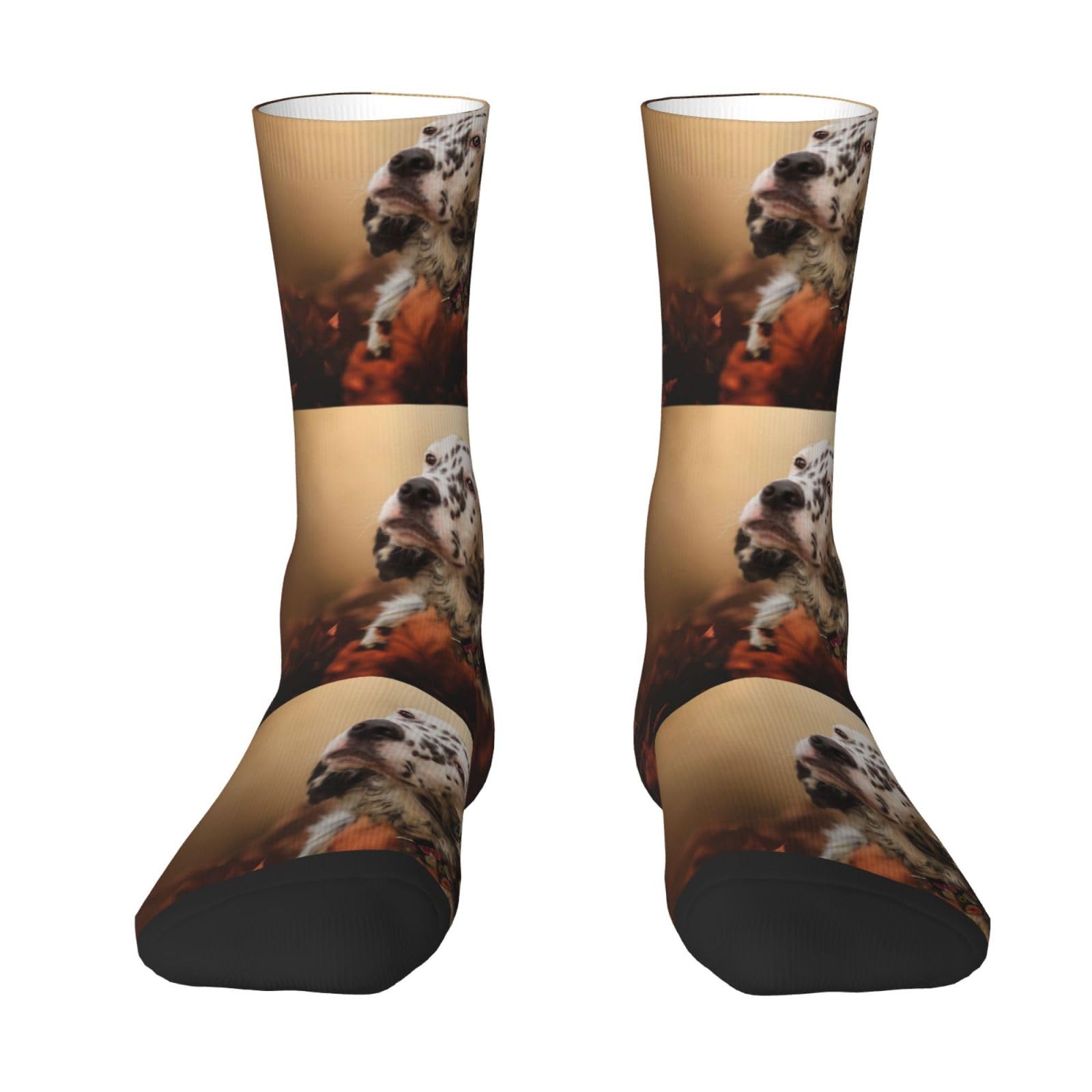 Yofien Unisex White English Setter Autumn Pets Puppy Dogs English,Men's Moisture Wicking Breathable Cusioned Crew Socks For Women