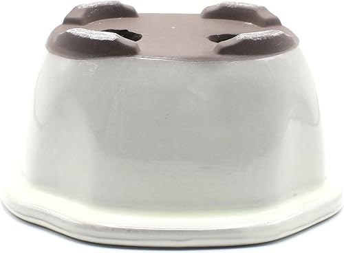 Miniatura 2 de Bonsai - Olla de cerámica con forma de membrillo, Seto-Yaki Mokko (6.7in)