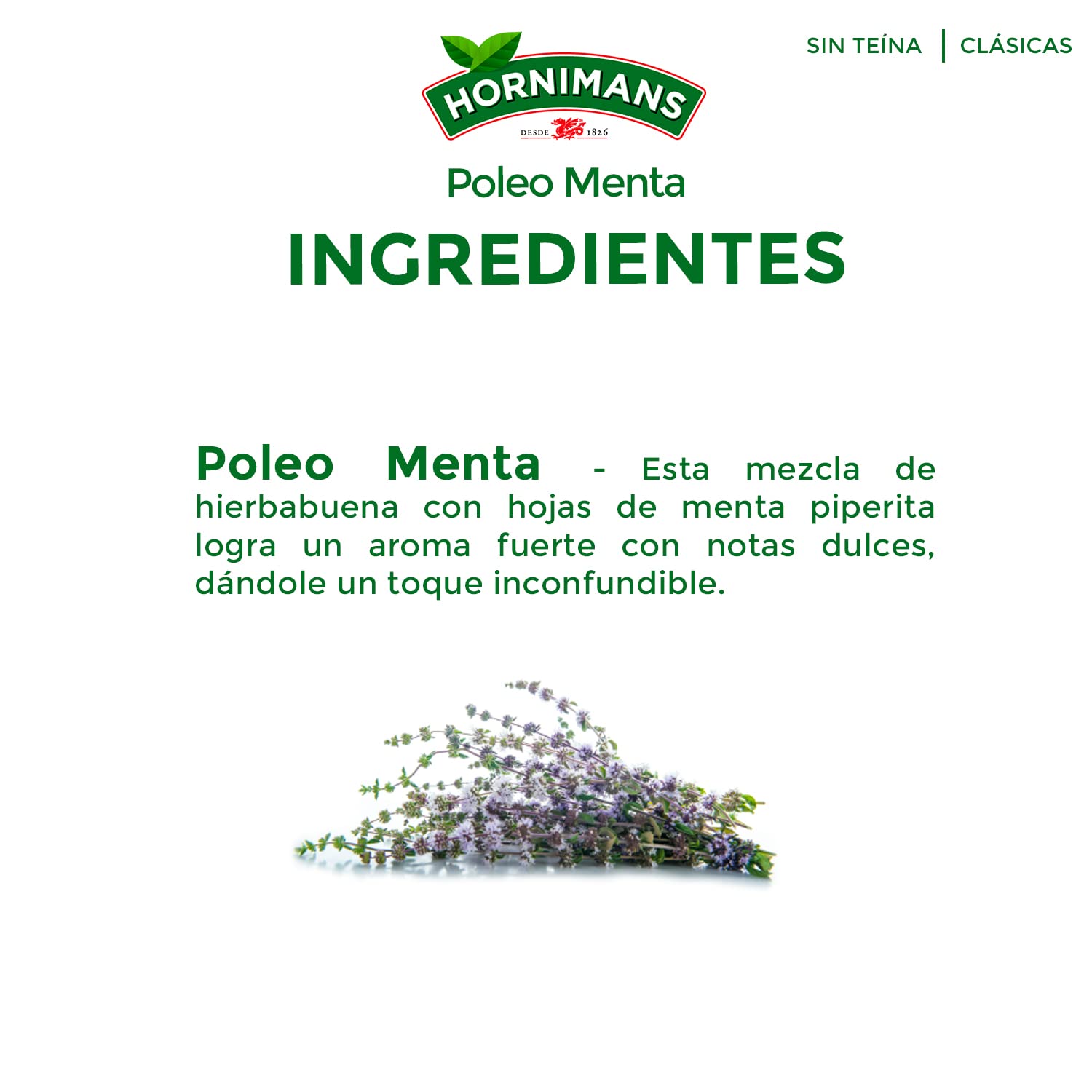 Hornimans Poleo Menta Infusión 25 bolsitas Sin Teína 100% Natural