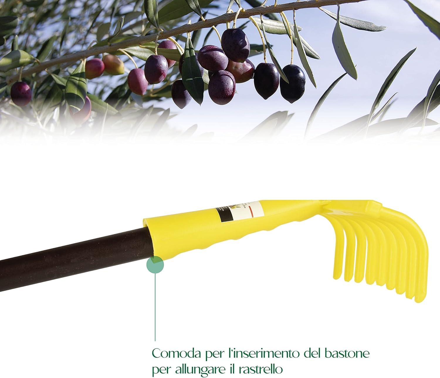 Iyalezirk 4X Cabezas De Rastrillo Para Aceitunas, Rastrillo De 9