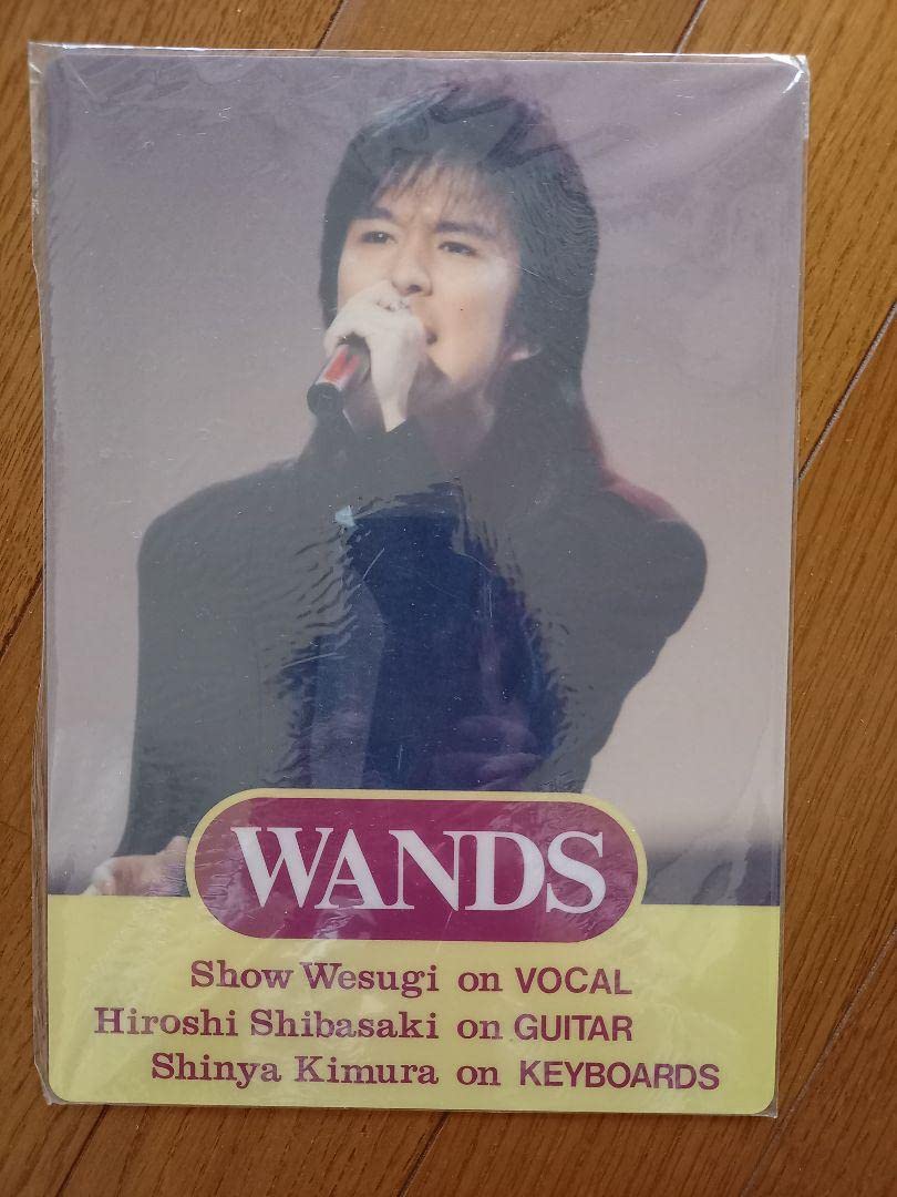 WANDS 下敷き WANDS 下敷き