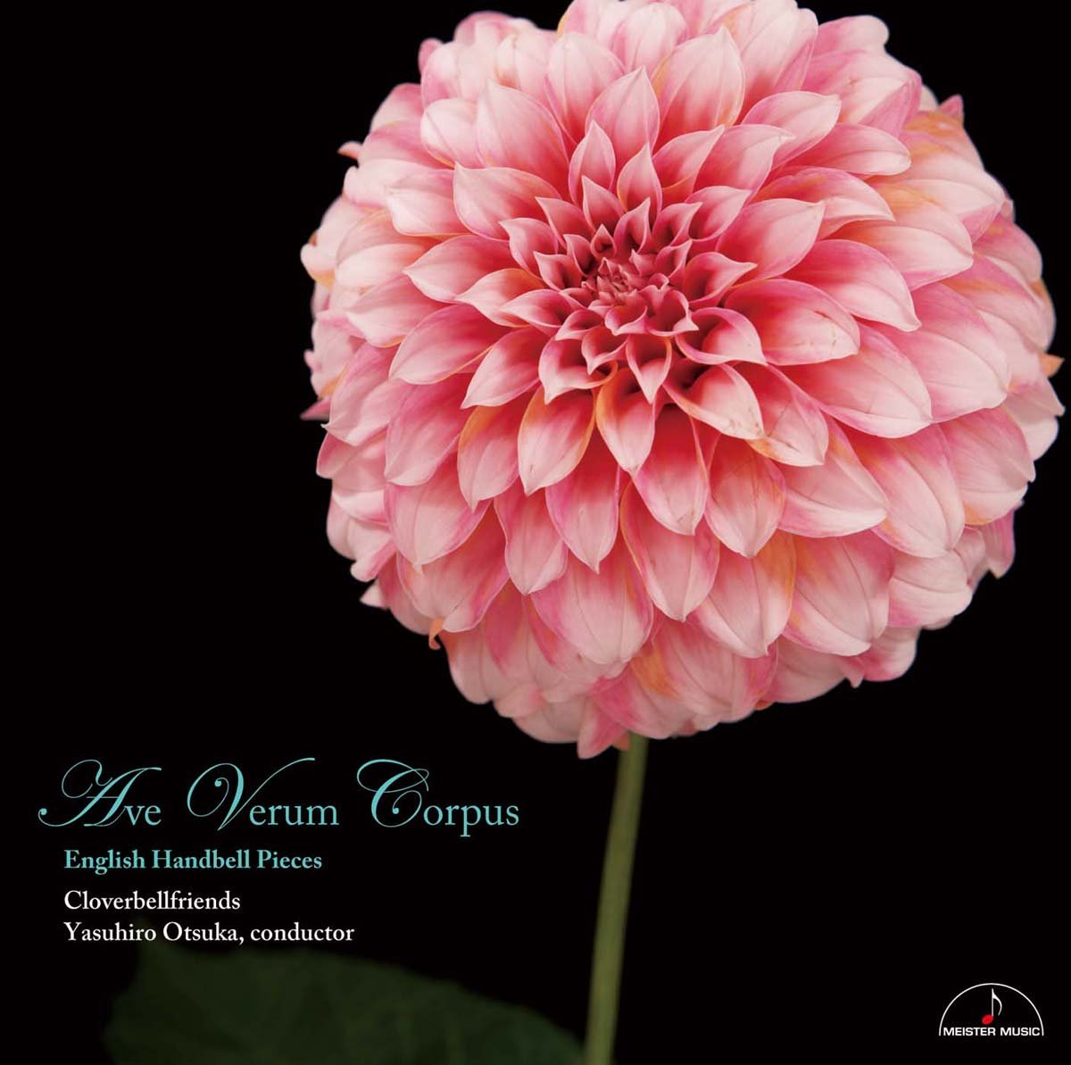 Amazon.co.jp: アヴェ・ヴェルム・コルプス: ミュージック