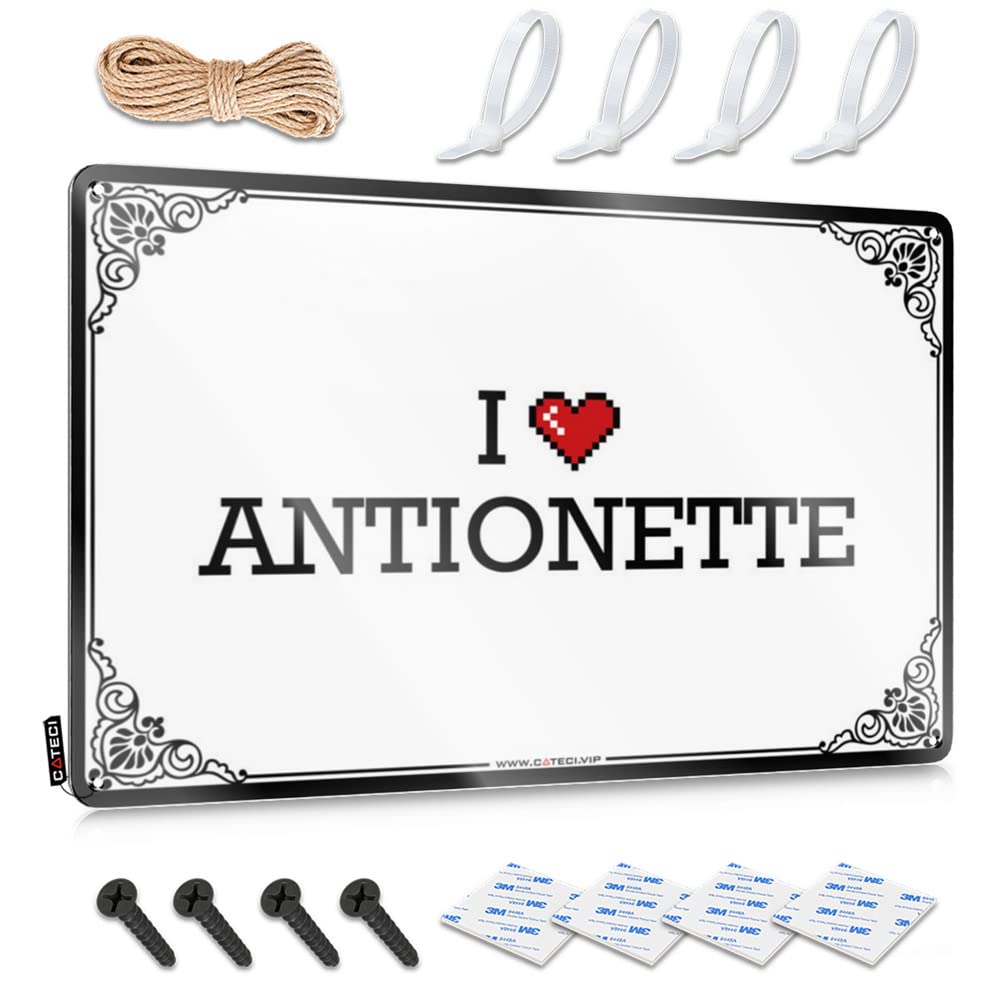 Bathroom Accessories Decor Aesthetic Signs - I Love Antionette Rustic Wall Art Sweet Easy Hang For Hallway(20X30CM)