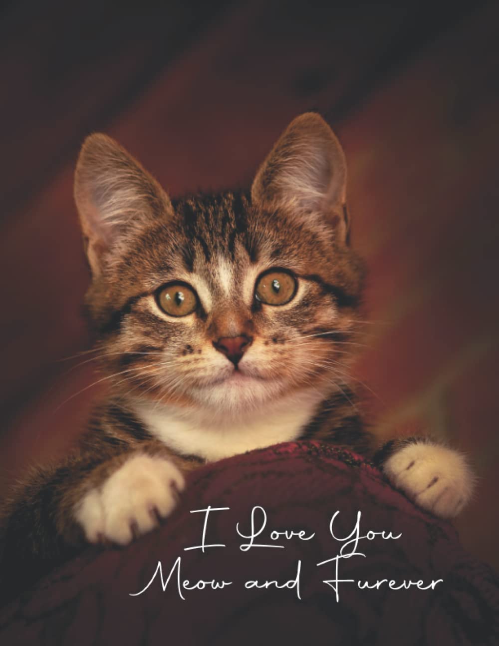Cat Notebook: Cute Cat Notebook For Cat Lovers with "I Love You Meow and Furever" slogan line: Adorable Cat Notebook - This notebook is for cat lovers