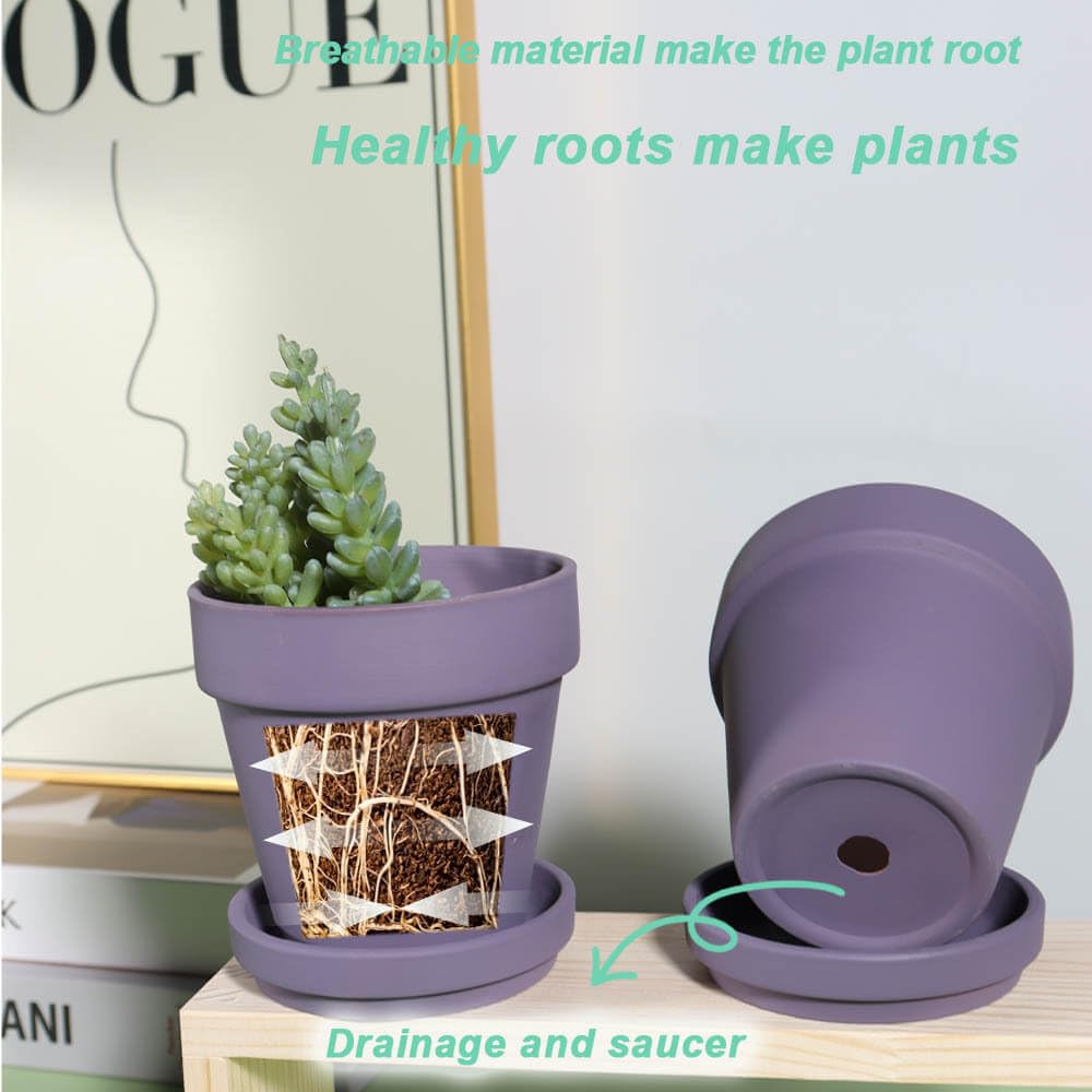 Maceta Barro Vensovo Bandeja Para Macetas De Terracota De 6 Pulgadas, 6  Platillos Redondos Para Plantas De Interior Y Exterior, Bandejas Pequeñas  De Arcilla Perfectas Para Macetas De 5 Pulgadas, 5.5 Pulgadas Y Macetas  Barro, image size:1000x1000