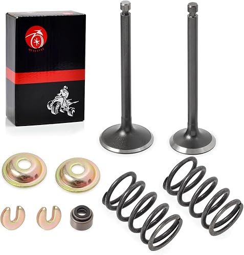Miniatura 2 de Kit de reconstrucción de válvula de escape de admisión y resorte de sello para carrito de golf YAMAHA G11 G16 G20 G22 G23 G27 G28 G29 A YDRA