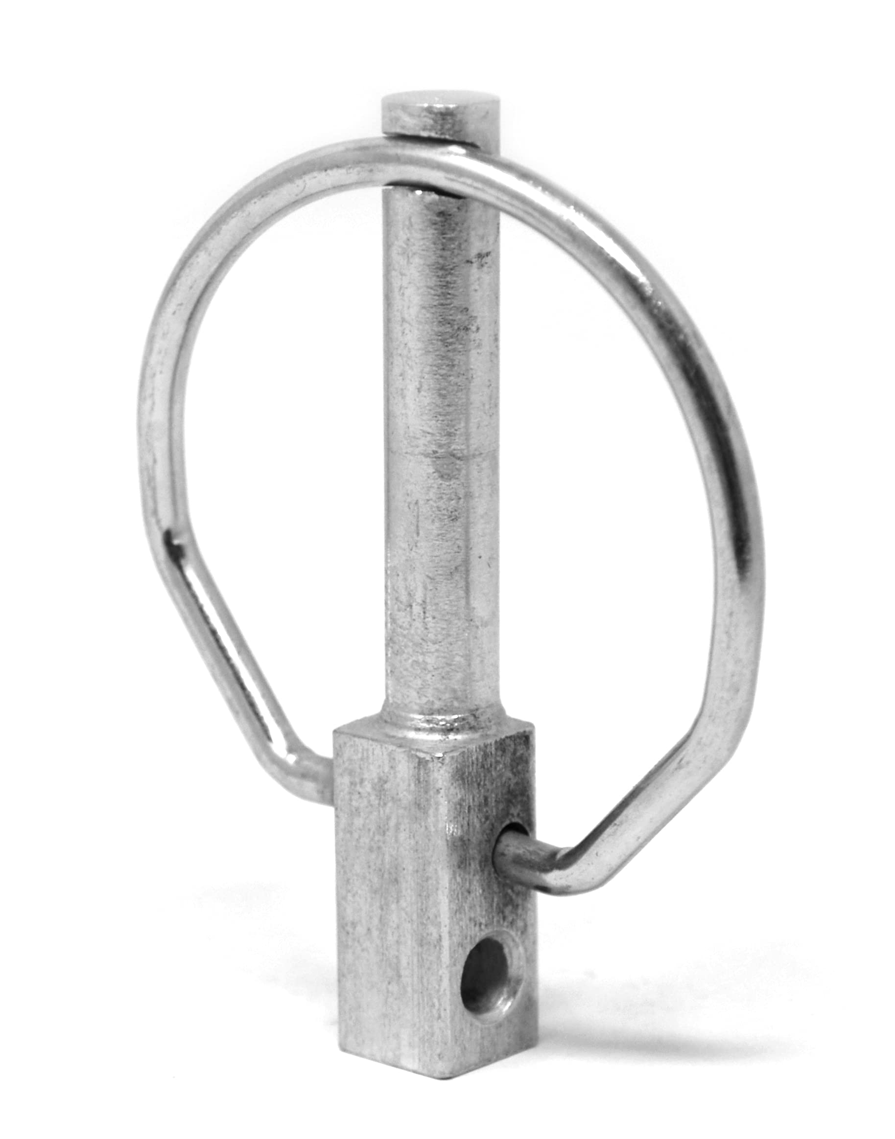 Design61 1 x spina pieghevole 8 x 42 mm zincato galvanizzato DIN 11023