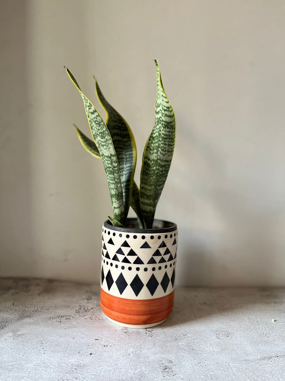 Craftribal Ceramic Handpainted Planter, 5 Inches, for Home Office Decoration Etc. (B0B5F5TGTK) Amazon Price History, Amazon Price Tracker