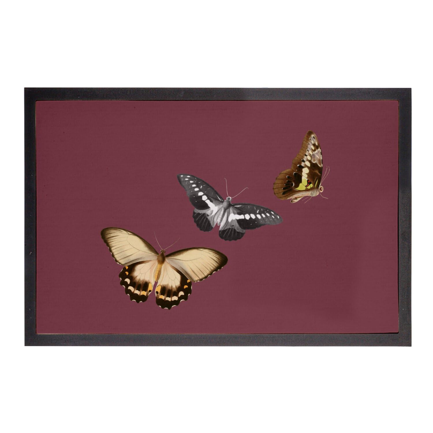 Paillasson Rouge Papillons 1858 Planches Biologie 60x40cm