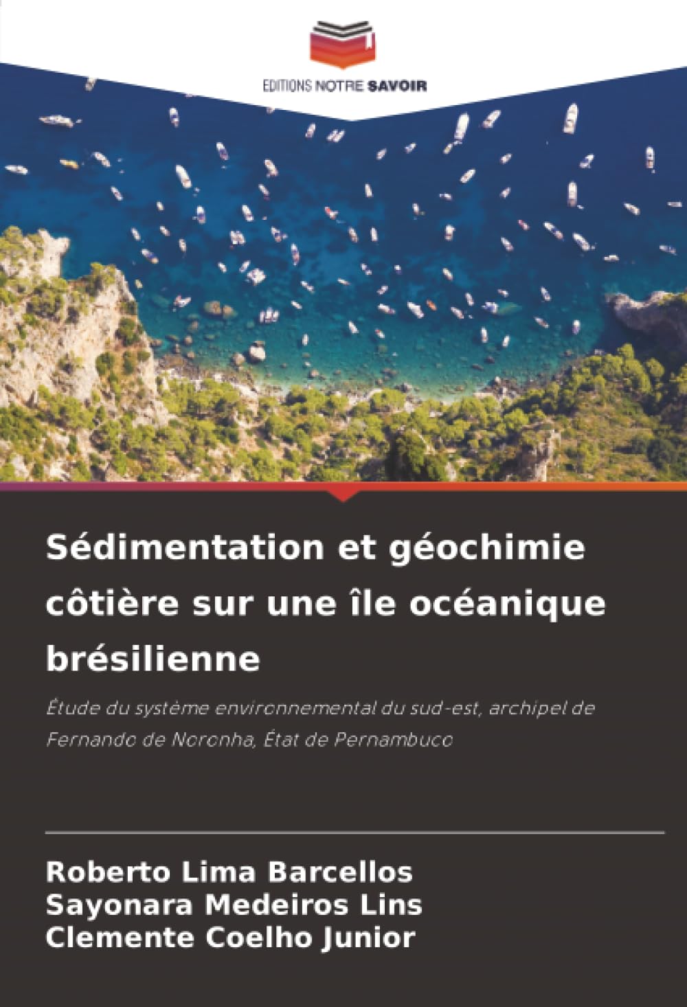 Sédimentation et géochimie côtière sur une île océanique brésilienne: Étude du système environnemental du sud-est, archipel de Fernando de Noronha, État de Pernambuco