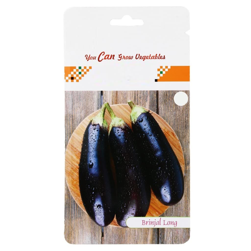 VibeX Fast Growing Brinjal Long Hybrid Seeds-300 Seeds (B0B9Y3BLSQ) Amazon Price History, Amazon Price Tracker