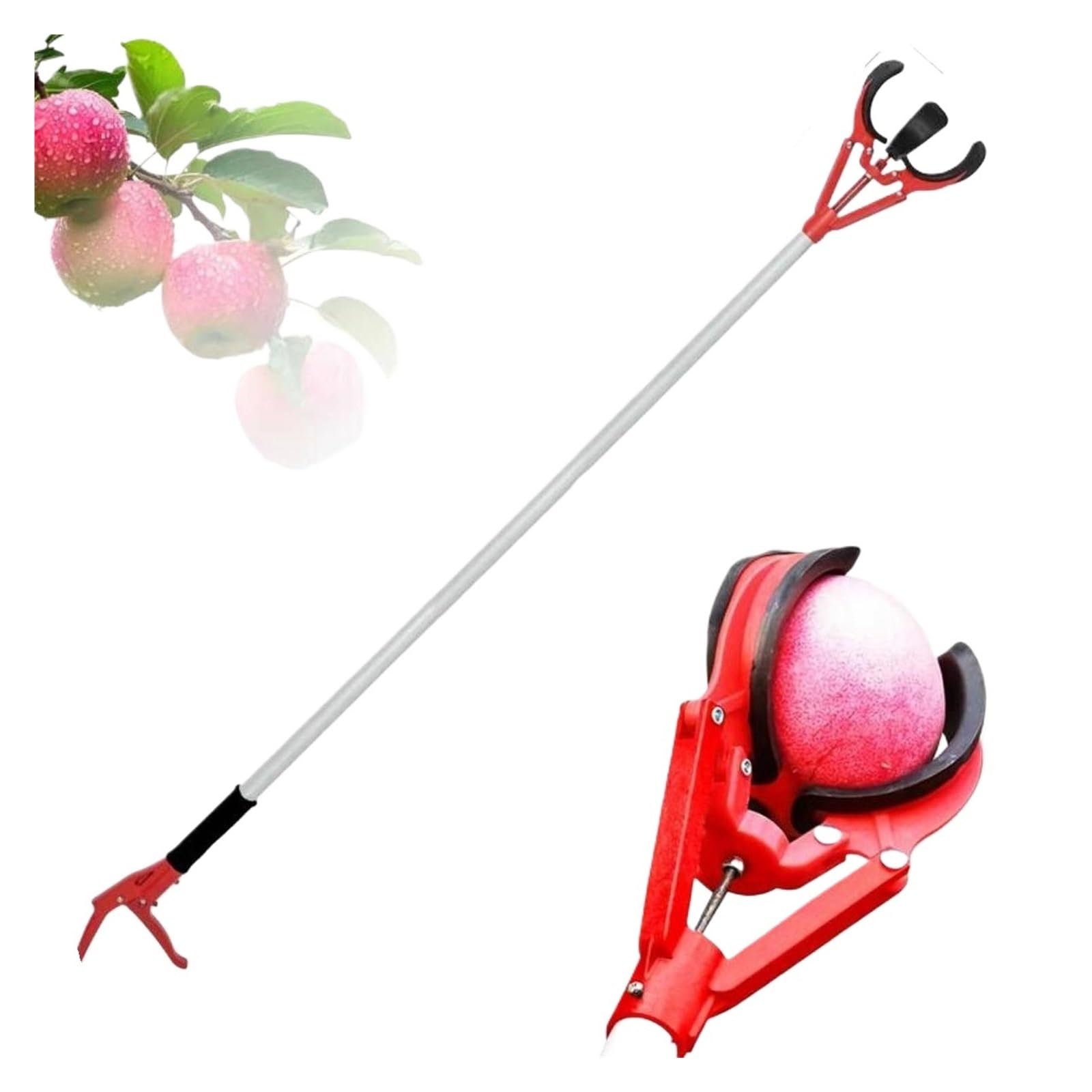 Recogedor de frutas Poste recolector de frutas 2, m con tres garras