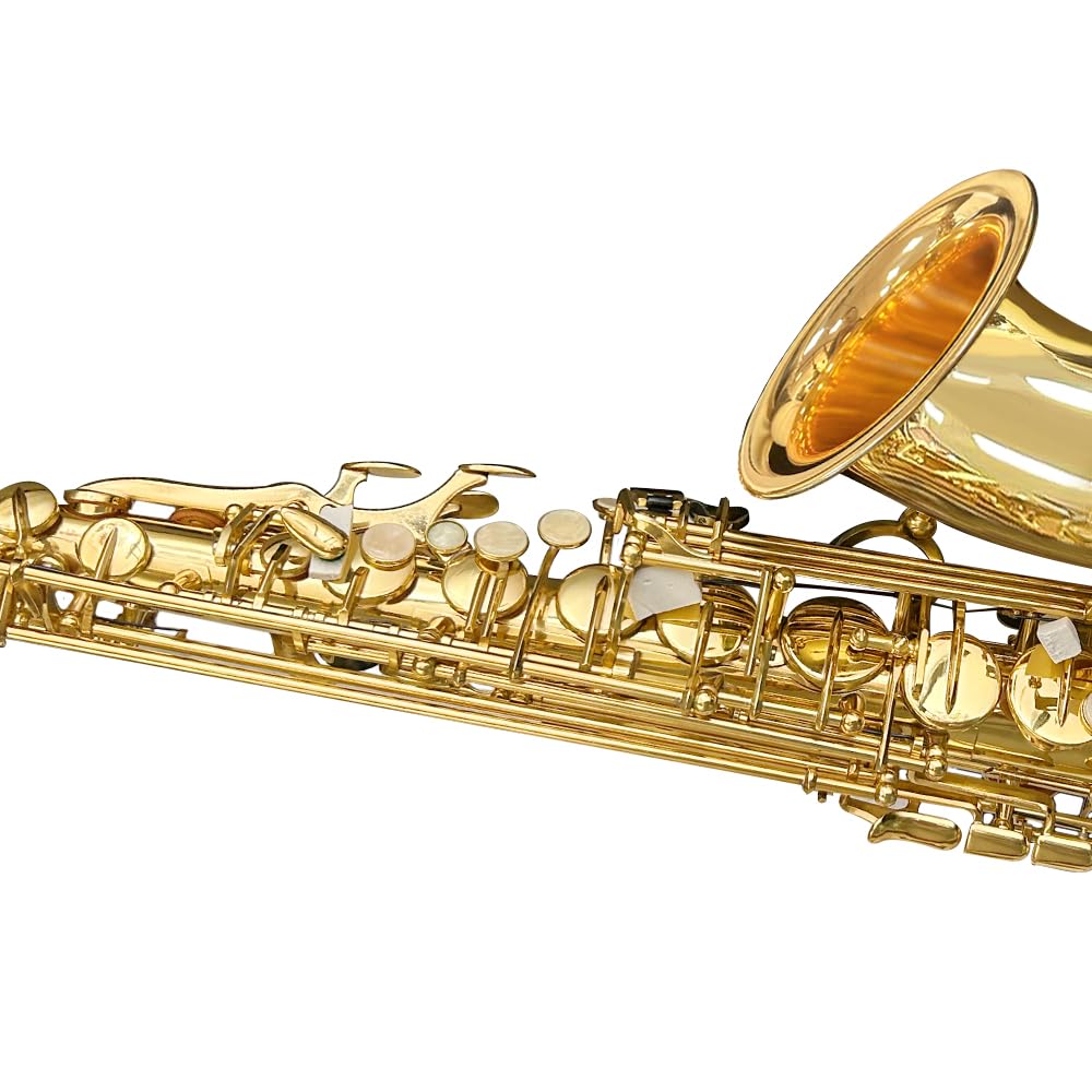 Yinfente - Saxophone Alto Mi Bémol pour débutants adultes, saxophone étudiant, kit complet avec anches, coussinets, étui de transport rigide, chiffon et tige de nettoyage, bec, gants, sangle de cou
