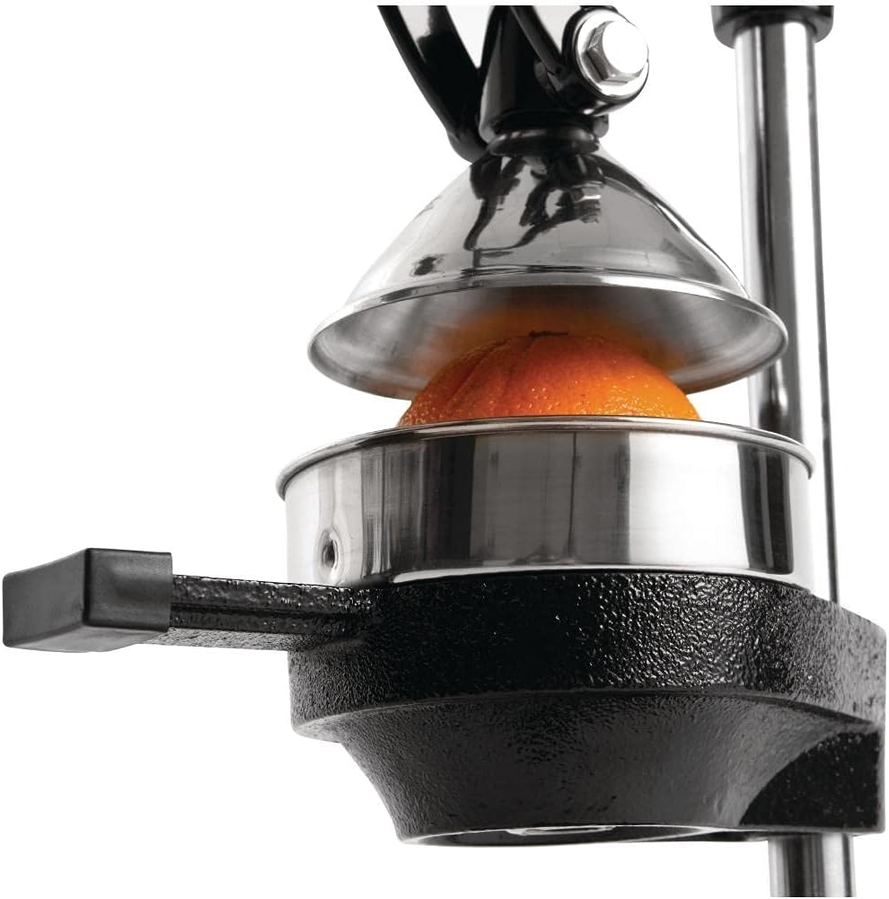 Juicer with fruit being pressed