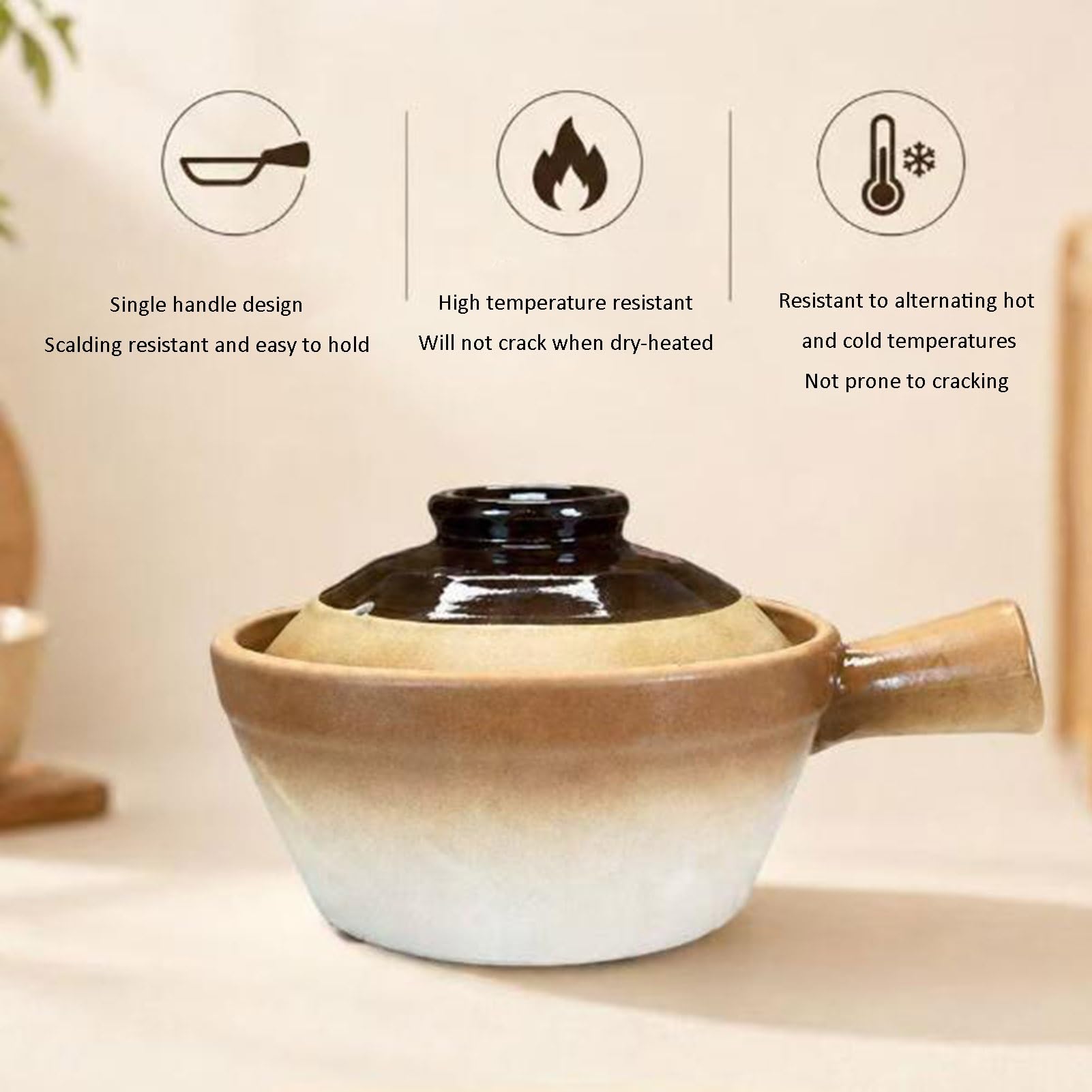 Olla de barro | For cocinar guisos con arroz y avena