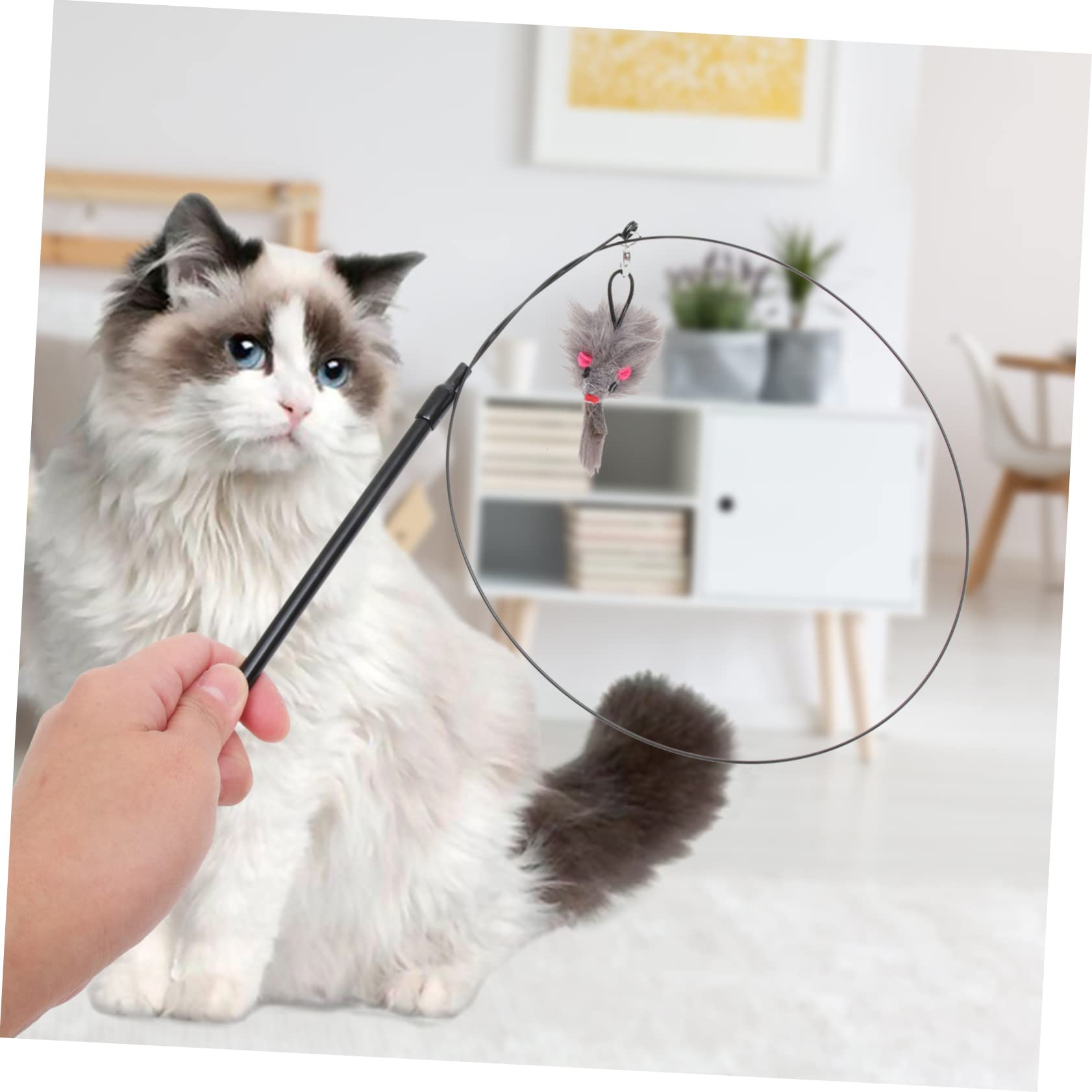 Sosoport Jouets Interactifs pour Chats Jouets pour Chatons De Interactif Ventouse pour D'Aspiration De De De avec Ventouse