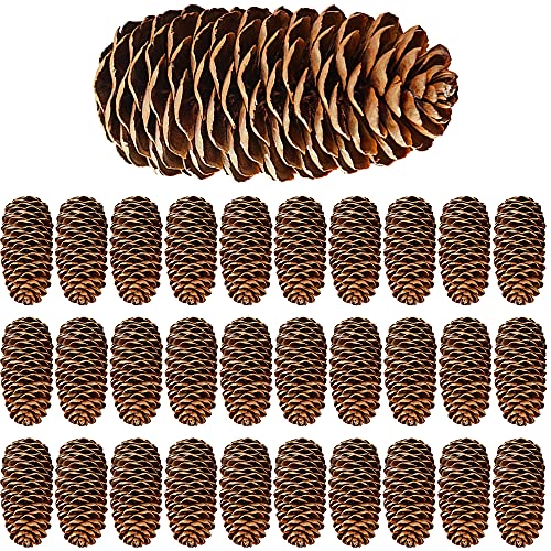 Rcanedny 30 Pieces Large Christmas Snow Pine Cones...