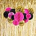 NICROLANDEE Hen Party Decorations Hot Pink and Black Tissue Pom Poms Glitter Gold Paper Lanterns Hanging Honeycomb Ball for Wedding Bridal Shower Wall Decor Valentines Decorations