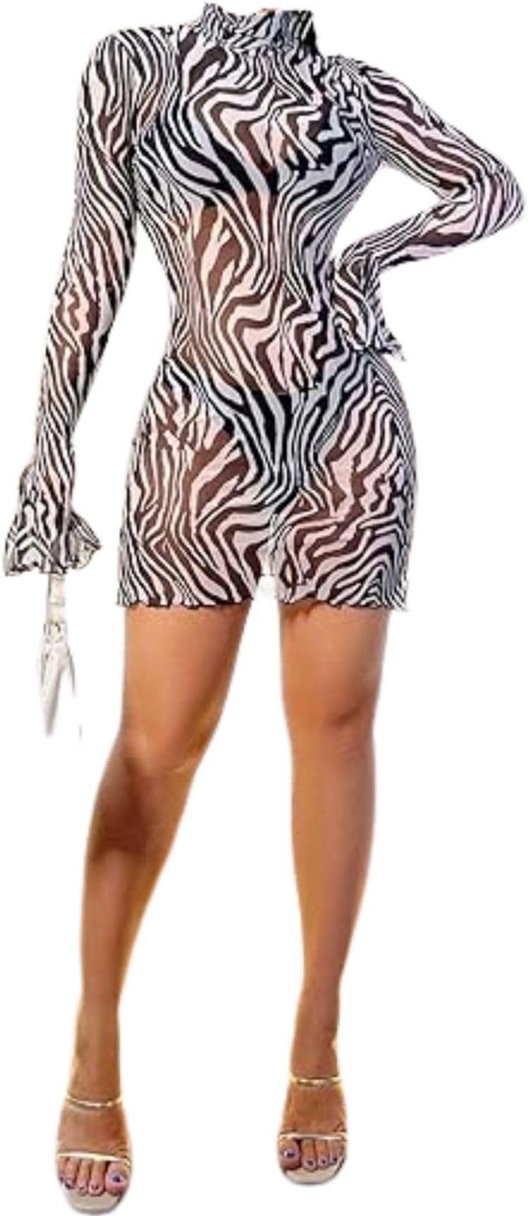 Women's See Through Animal Print Long Sleeve Bodycon Dresses
