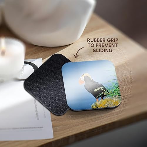 Miniatura 4 de 3dRose Puffin, en un acantilado - Alaska. - Posavasos suaves, juego de 4 (CST_206699_1)