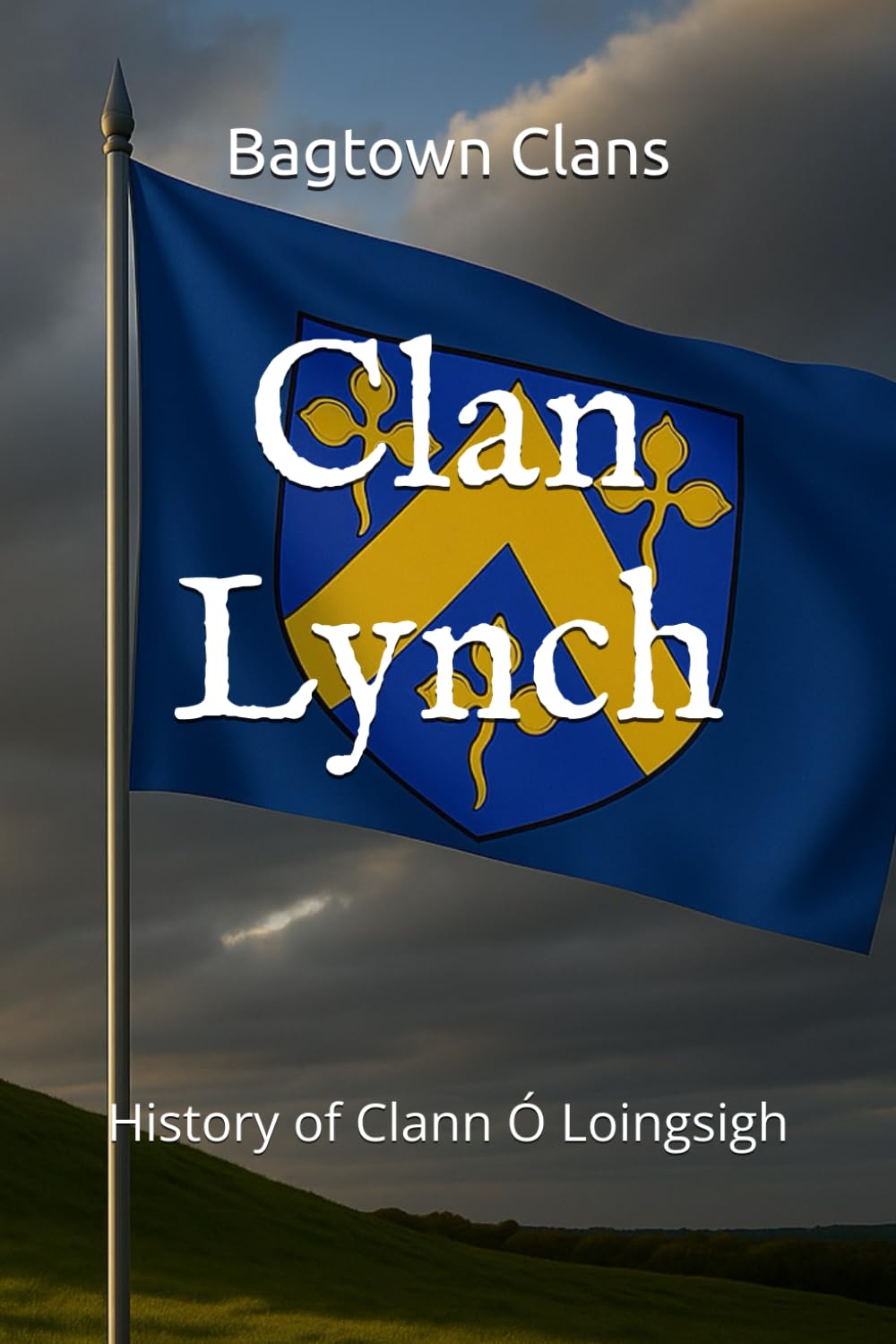 Clan Lynch: History of Clann Ó Loingsigh (The Irish Clans)
