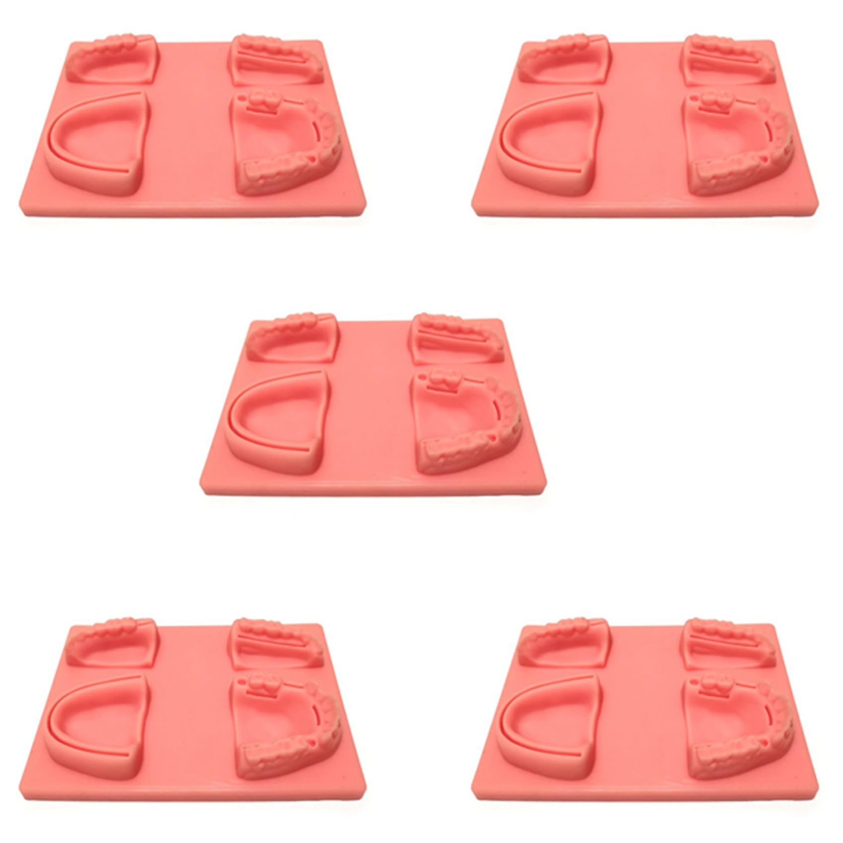 Kit per esercizi di cucitura dentale, 5 pezzi, per studenti e studenti veterinari