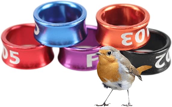 Quail Leg Bands 100 Pcs Bird Pigeon Leg Bands Baby Chicken Supplies Chicken Leg Chicken Legs Chicken Arms Duck Legs 100pcs 3.5mm Colors Randomly Mixed