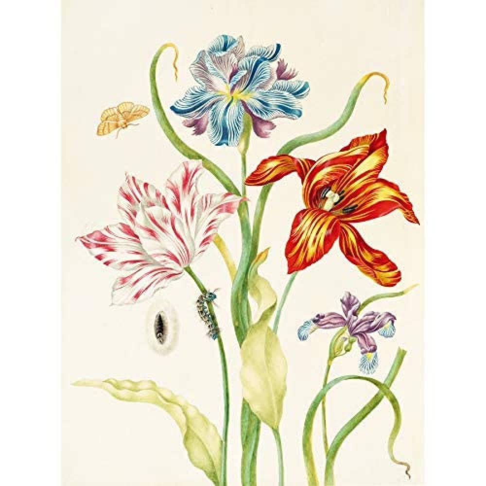 Artery8 Tulips Irises Floral Flower Insect Painting Unframed Wall Art Print Poster Home Decor Premium