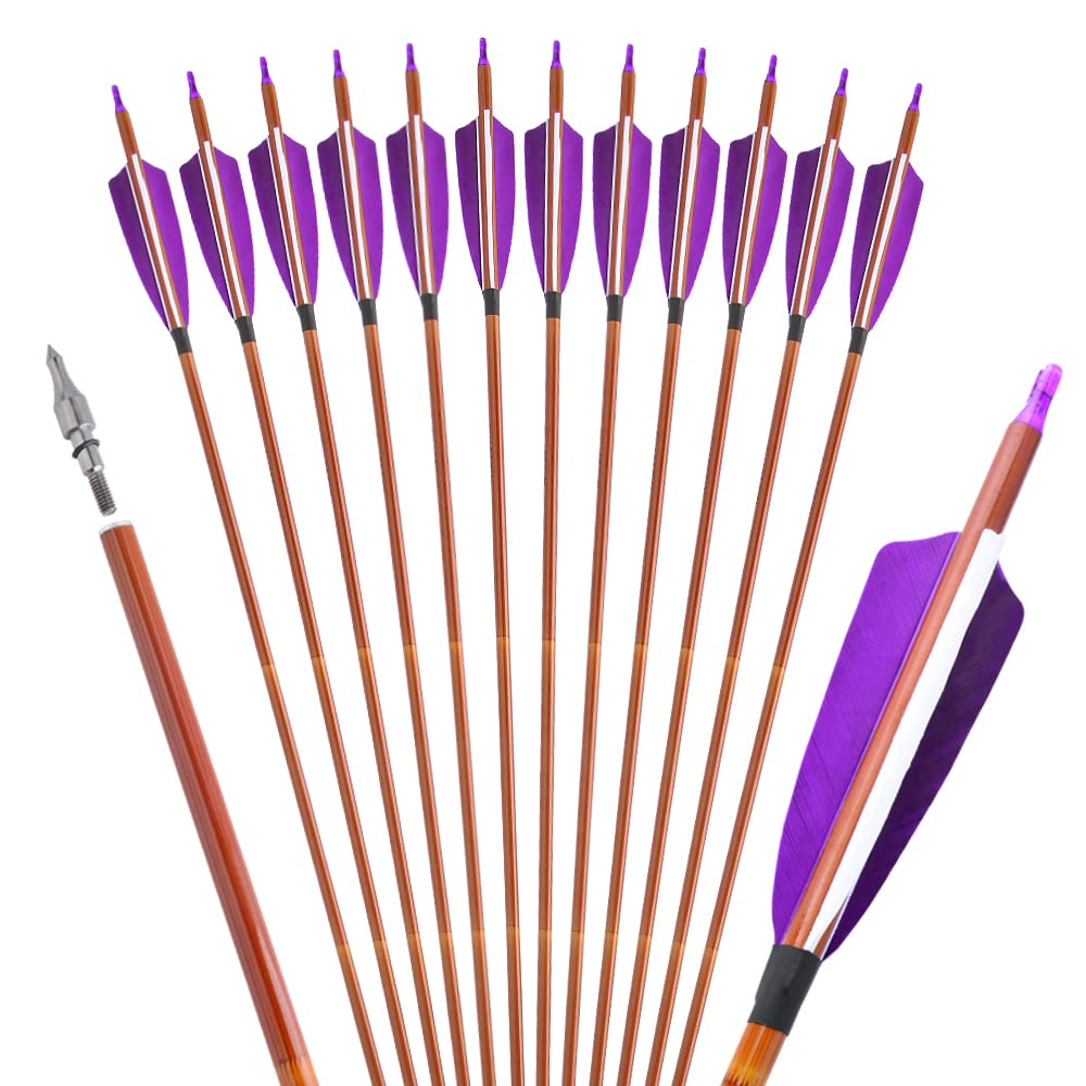 ZSHJGJR 31" Archery Carbon Hunting Arrows - 500 Spine Targeting Practice Arrows with 4" Turkey Feathers - Arrows for Compound/Recurve/Traditional Bows 12 Pack (Purple)